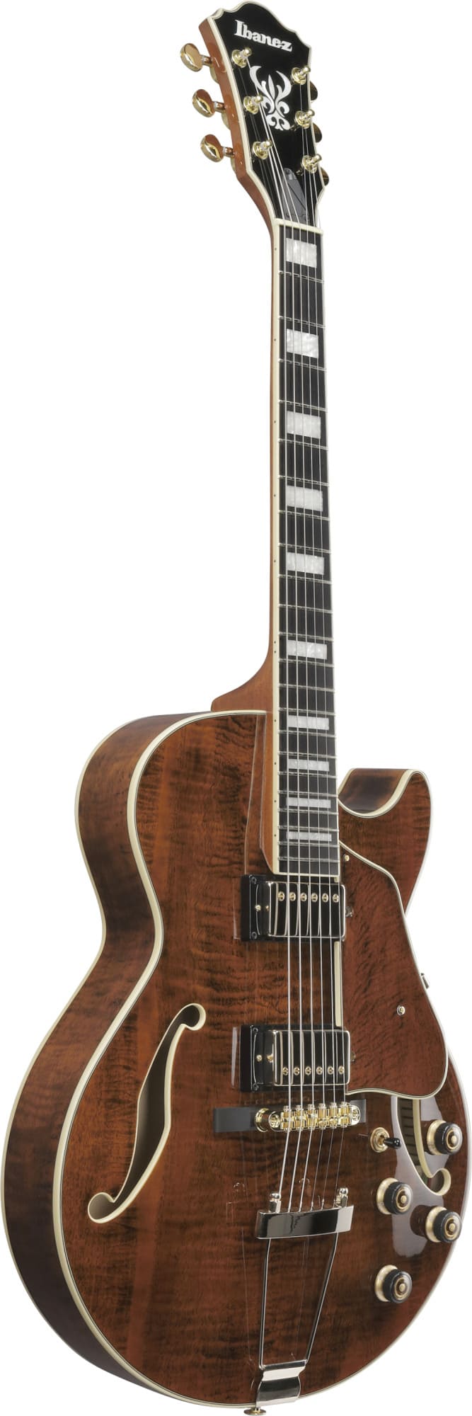 Ibanez AG95MG-DA