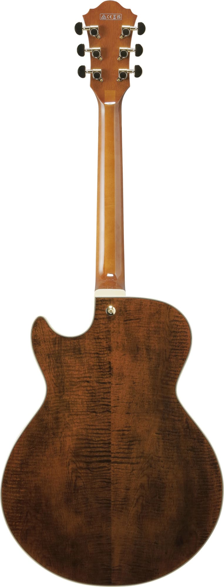 Ibanez AG95MG-DA
