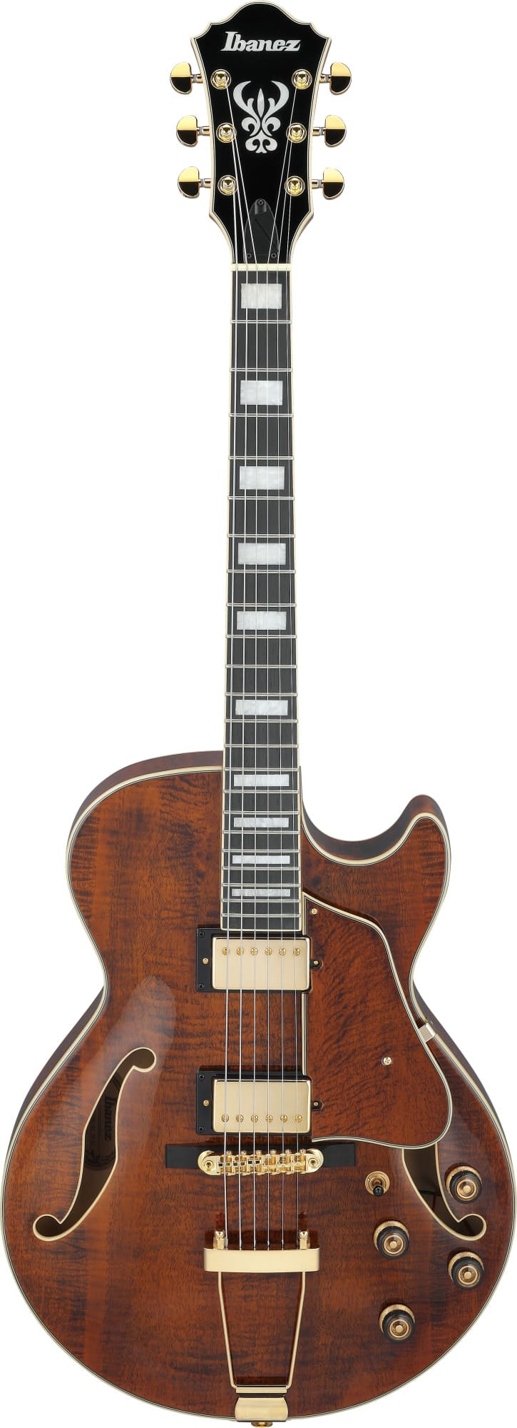 Ibanez AG95MG-DA
